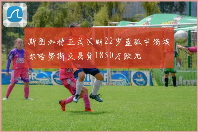 斯图加特正式买断22岁蓝狐中场埃尔哈努斯交易费1850万欧元